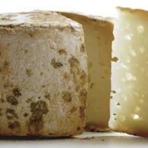 Queso de Cabra