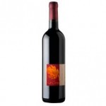 Vino negro Merlot